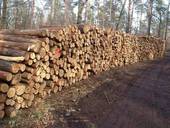 holzlagerpl-tze-foto-1.jpg